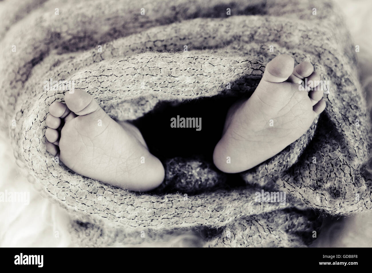Newborn feet Stock Photo