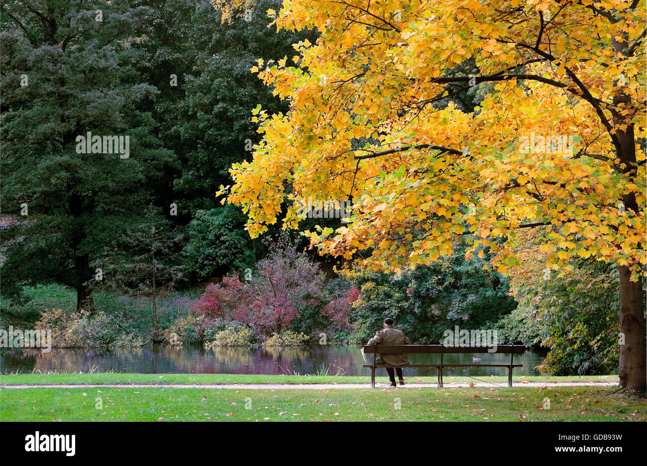 Single man sitting on a bench in park Stock Photo - Alamy