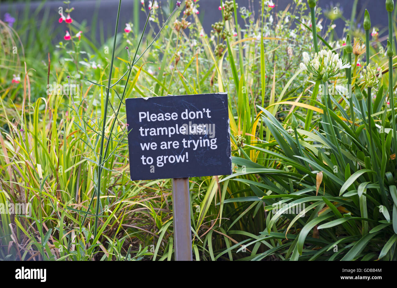 Please don't trample us we are trying to grow sign among plants at at