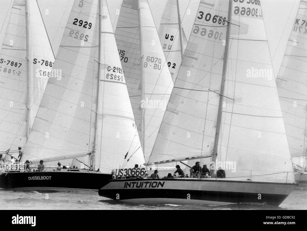 AJAX NEWS PHOTOS. 29TH JULY, 1981. SOLENT,ENGLAND. - ADMIRAL'S CUP FLEET - START OF THE 1ST RACE AFTER GENERAL RECALL. INTUITION, SCARAMOUCHE AND STARS AND STRIPES  (ALL USA) BATTLE TO BREAK OUT AT THE LEEWWARD END OF THE LINE.  PHOTO:JONATHAN EASTLAND/AJAX  REF:YAR ADC FLEET 1981 Stock Photo