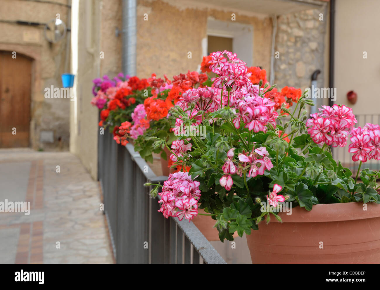 Street decorated with flowers in the pots Stock Photo