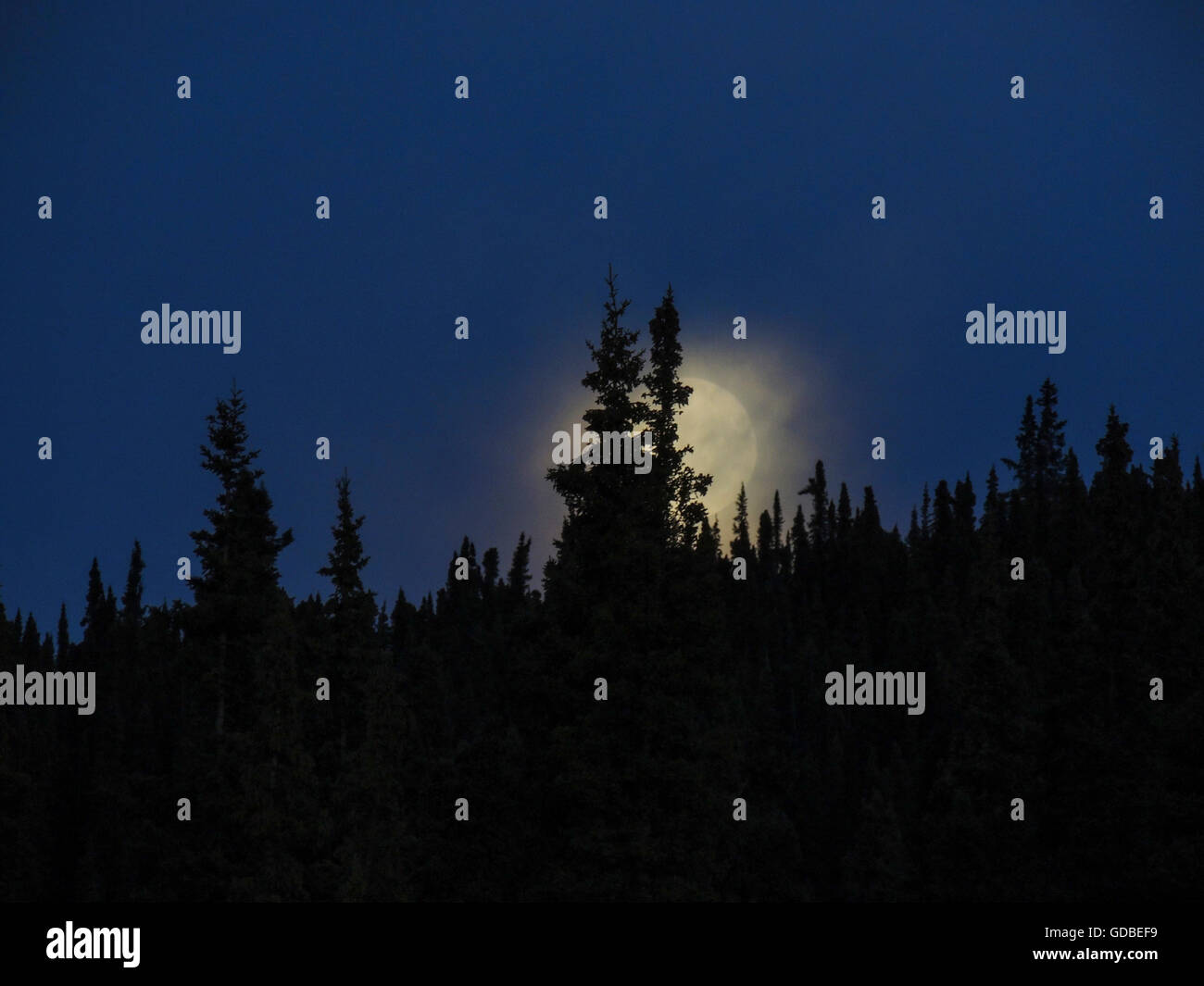 Moonrise along the Alaska Highway between Fort Nelson and Fort St. John, British Columbia, Canada. Stock Photo