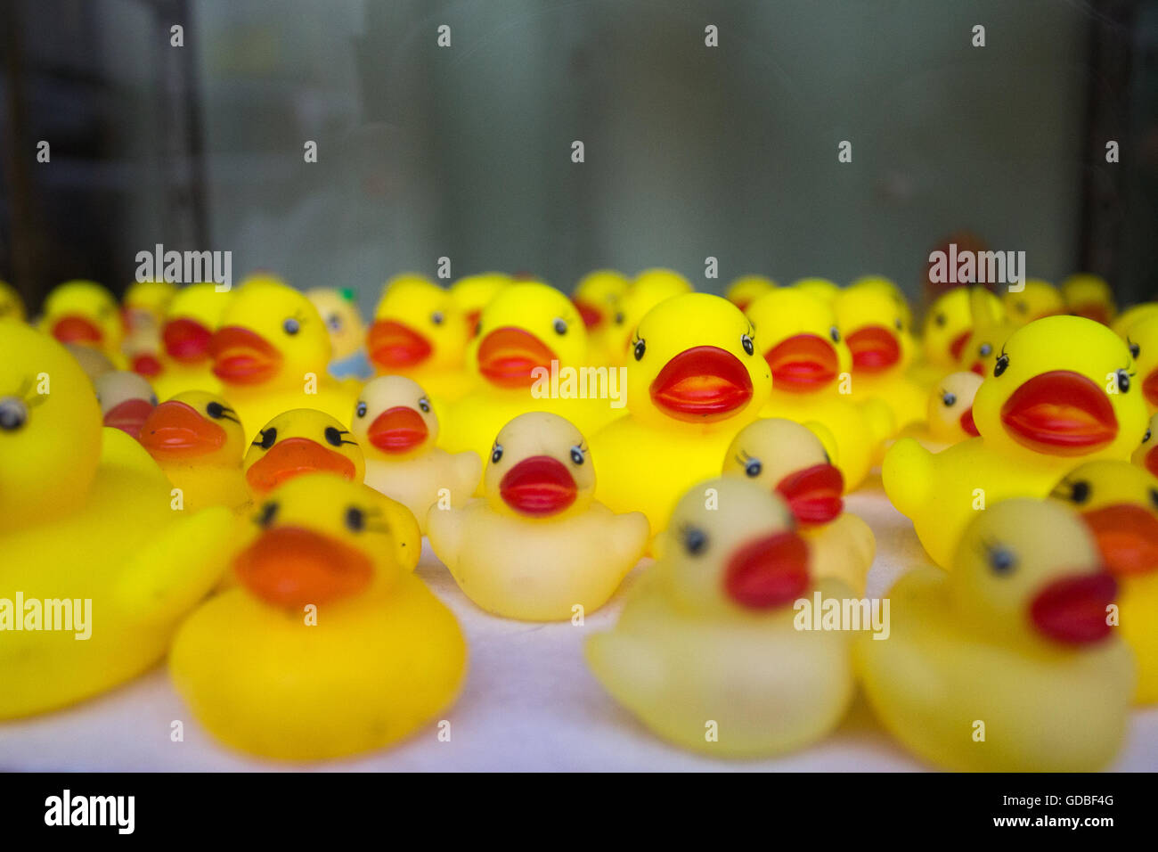 Dozens of rubber ducks in store window in Tokyo, Japan Stock Photo