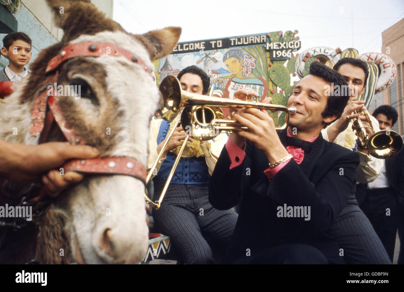 Herb Alpert and the Tijuana Brass Stock Photo Alamy