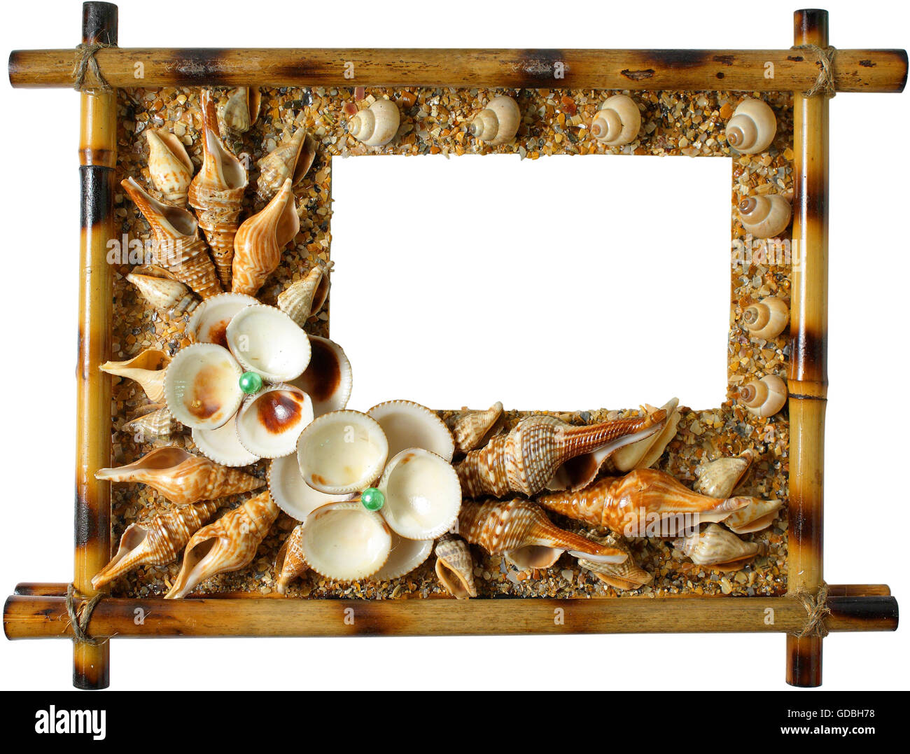 Photoframework from sea cockleshells on white background Stock Photo ...