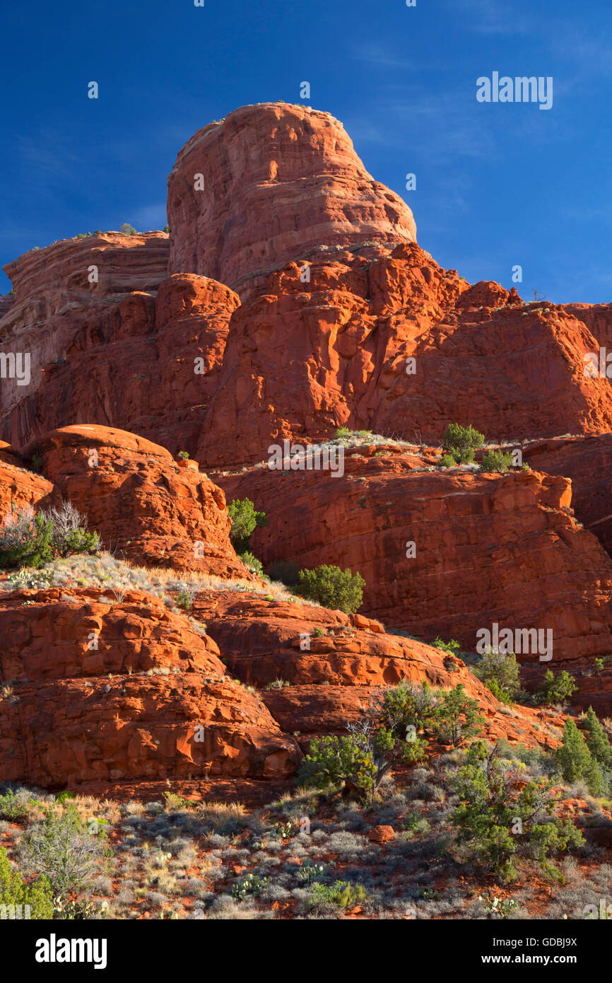 Courthouse Butte from Courthouse Butte Loop Trail, Red Rock Scenic Byway, Coconino National Forest, Arizona Stock Photo