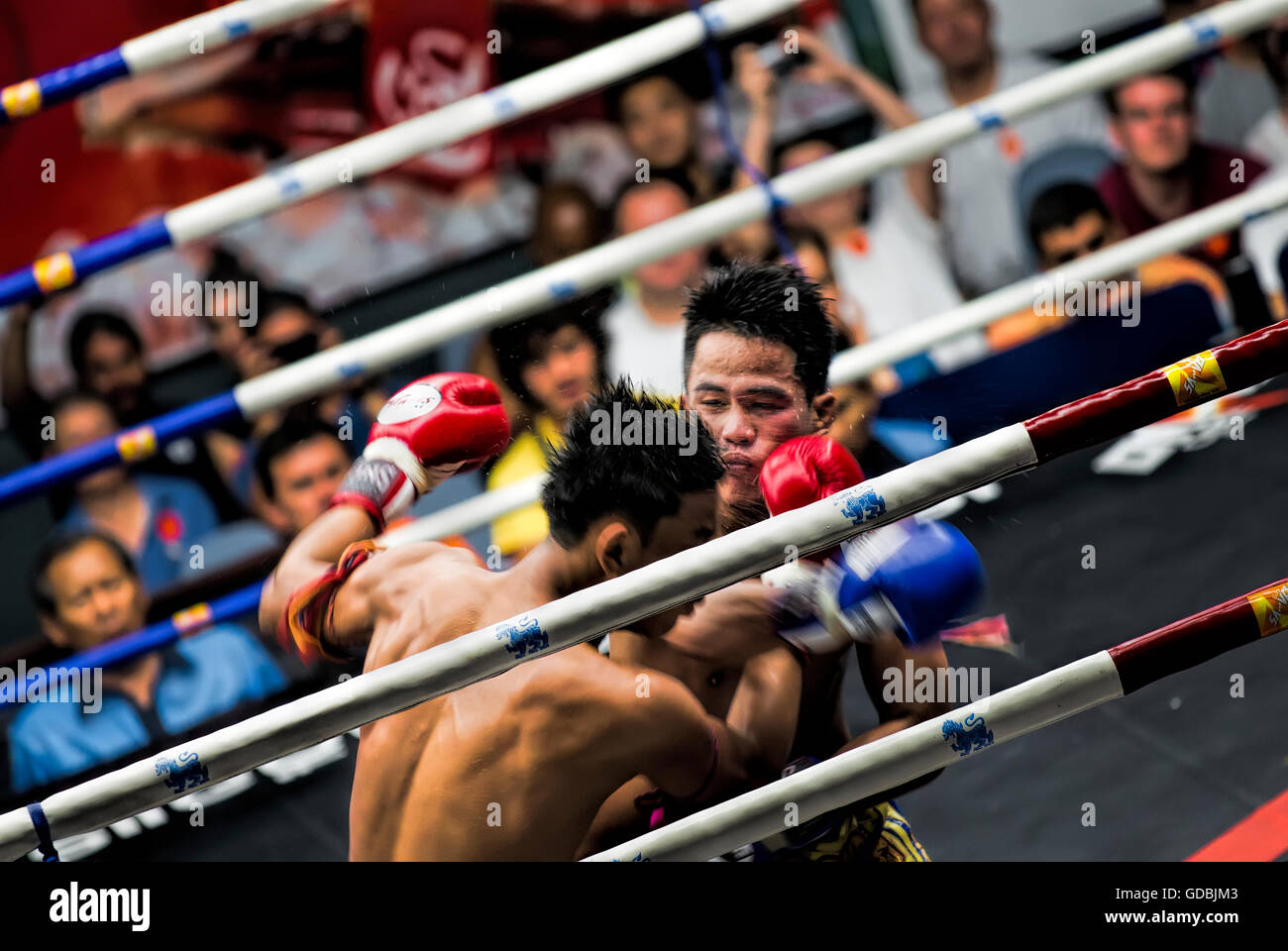 Thai boxing, Bangkok, Thailand Stock Photo Alamy
