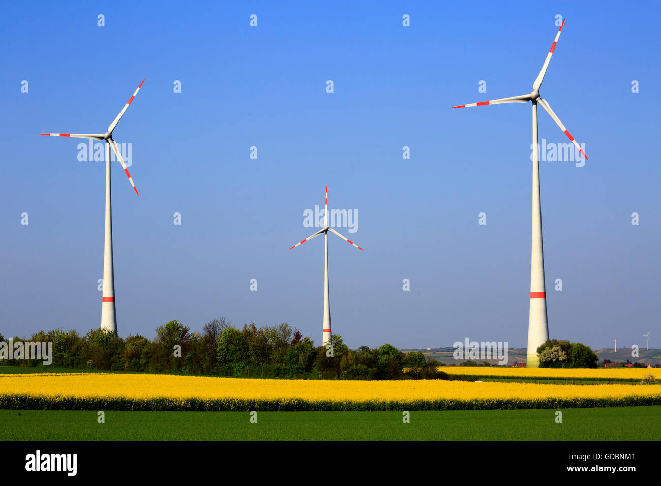 Germany, Woerrstadt, Rheinland-Pfalz, Wind wheel, rape field Stock Photo