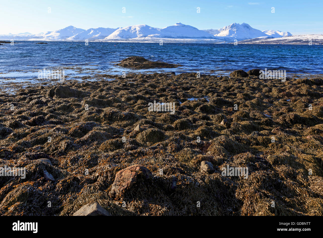 Ersfjordbotn, Norway Stock Photo