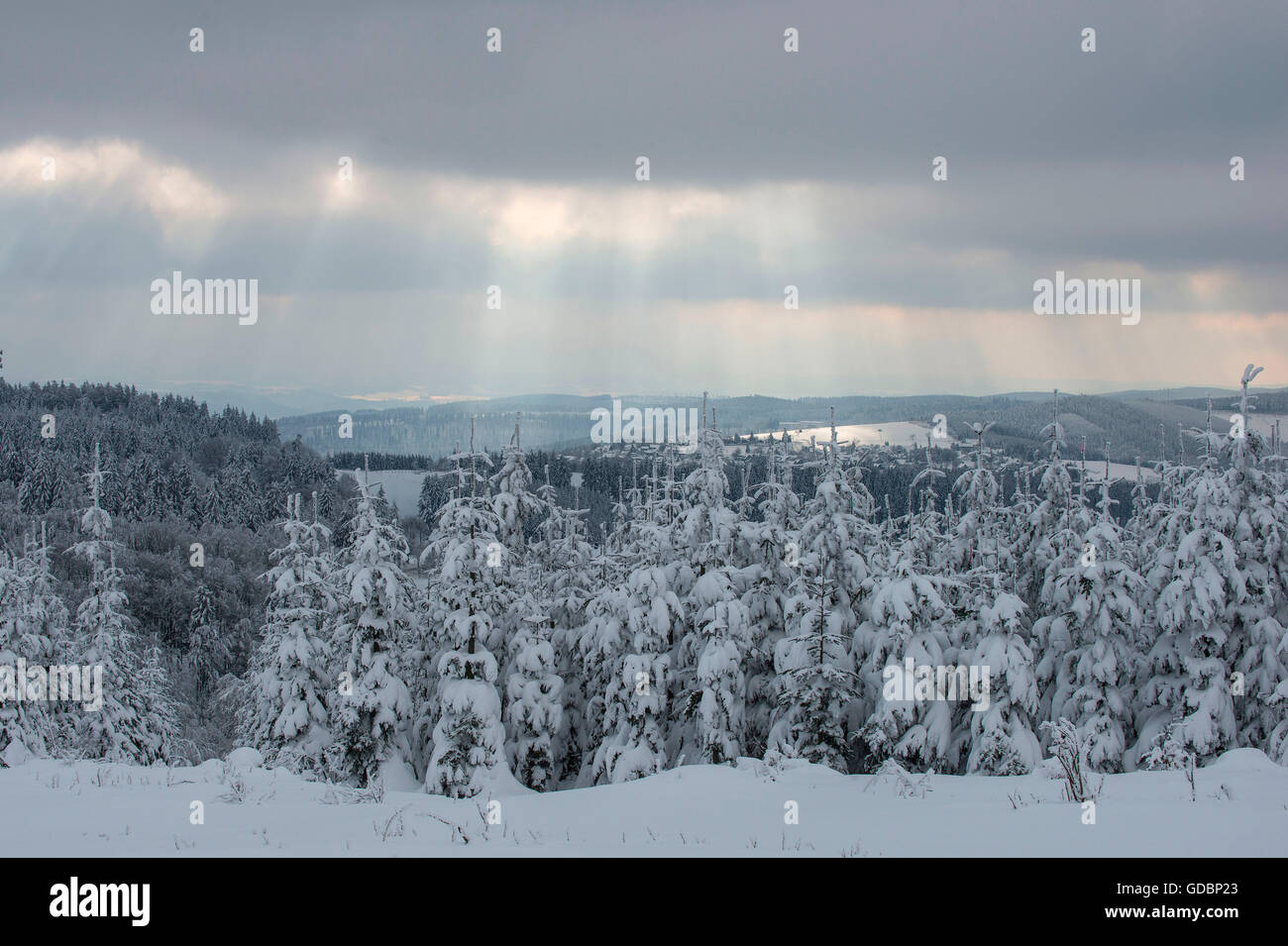 Kahler Asten, Winter, Sauerland, near Winterberg, NRW, Germany Stock Photo