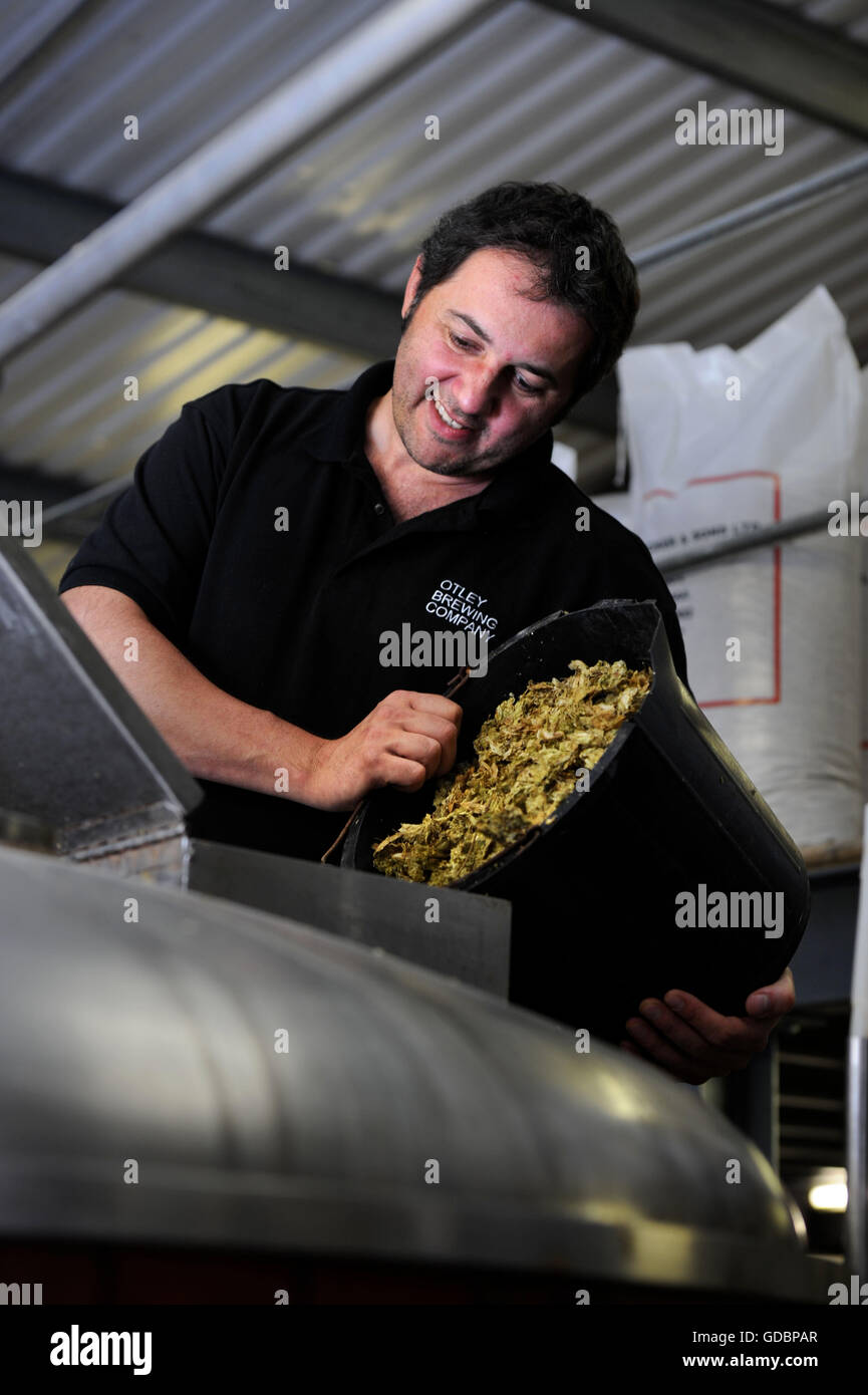 Nick Otley, MD of the Otley Brewing Company in Cilfynydd near Pontypridd, Wales tipping hops into the copper UK Stock Photo