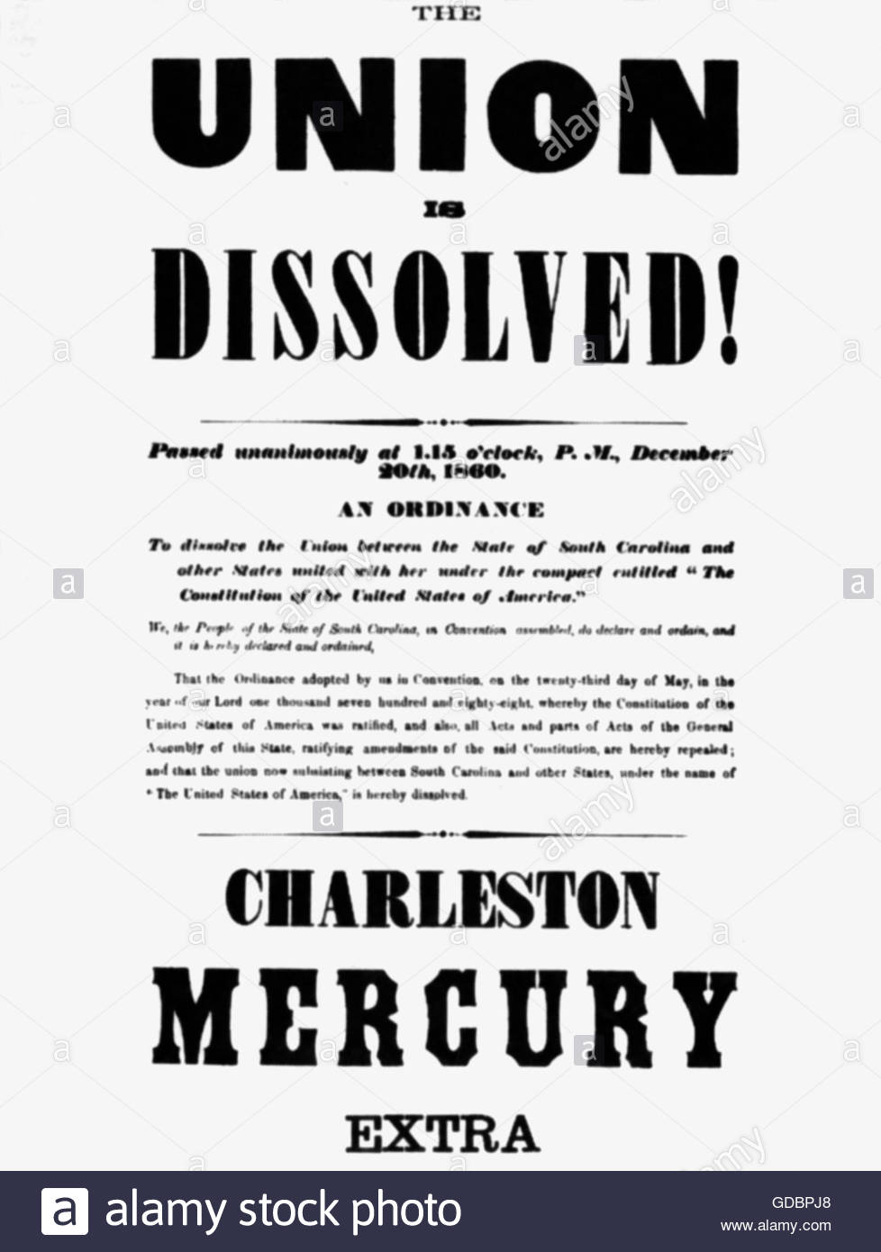 Charleston South Carolina United States of America Travel Advertisement Poster
