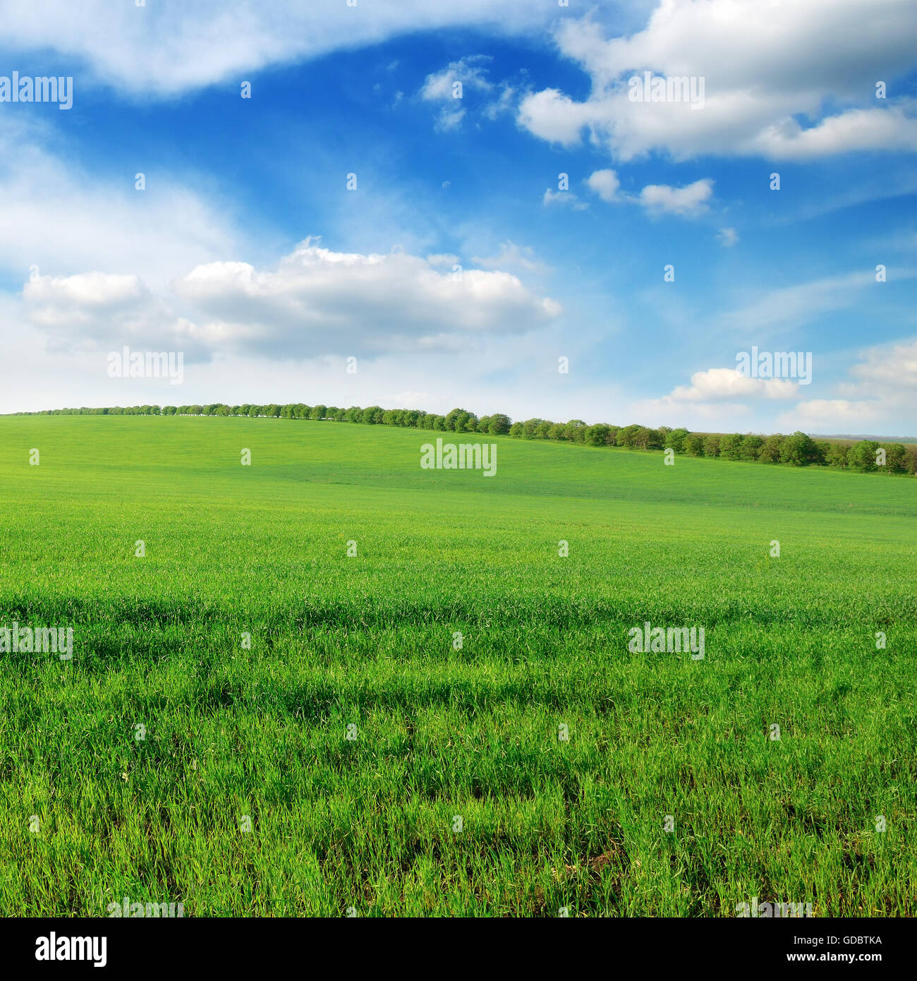 green field and blue sky with clouds Stock Photo - Alamy