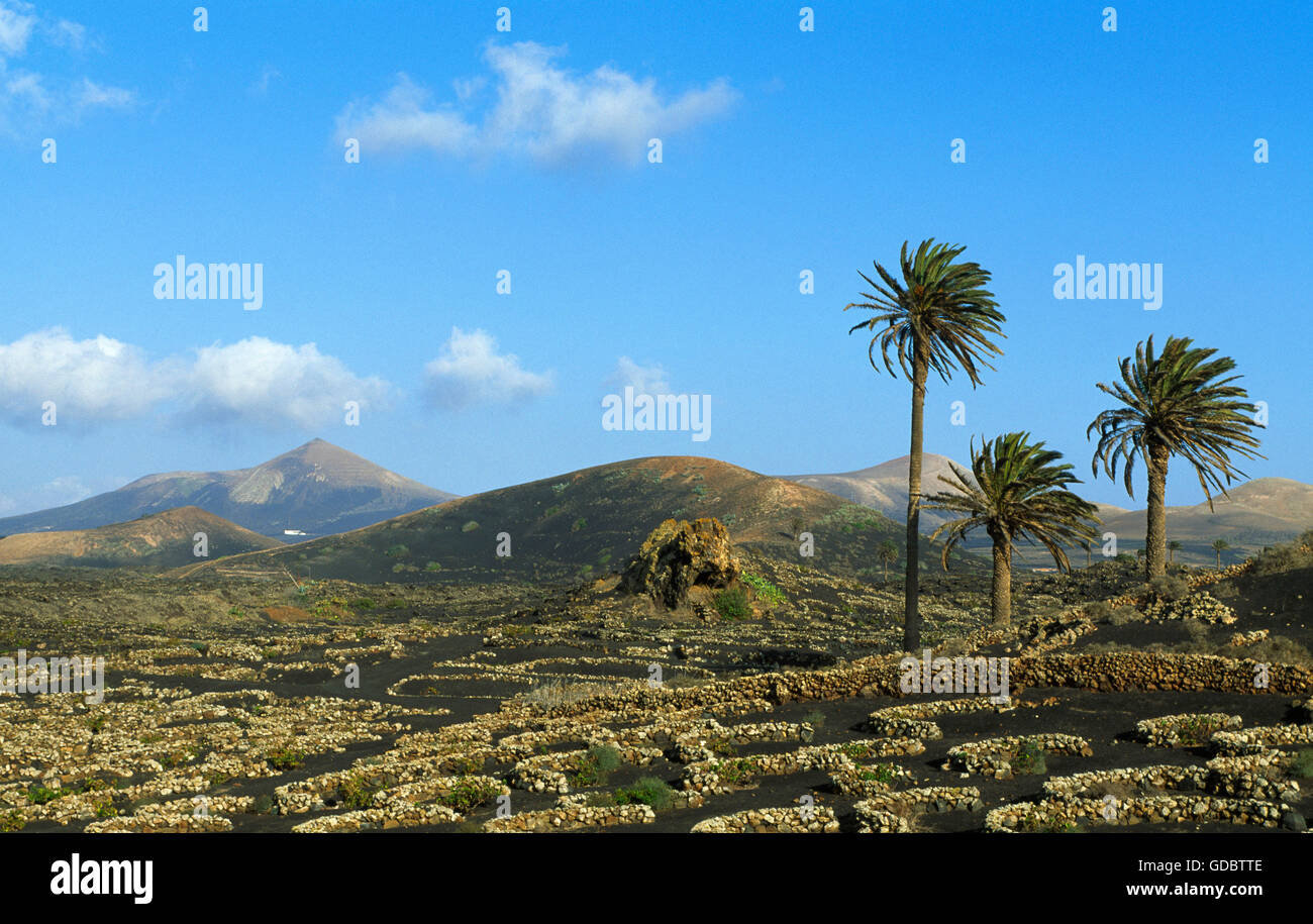 Landscape nearby Uga, Lanzarote, Canary Islands, Spain Stock Photo