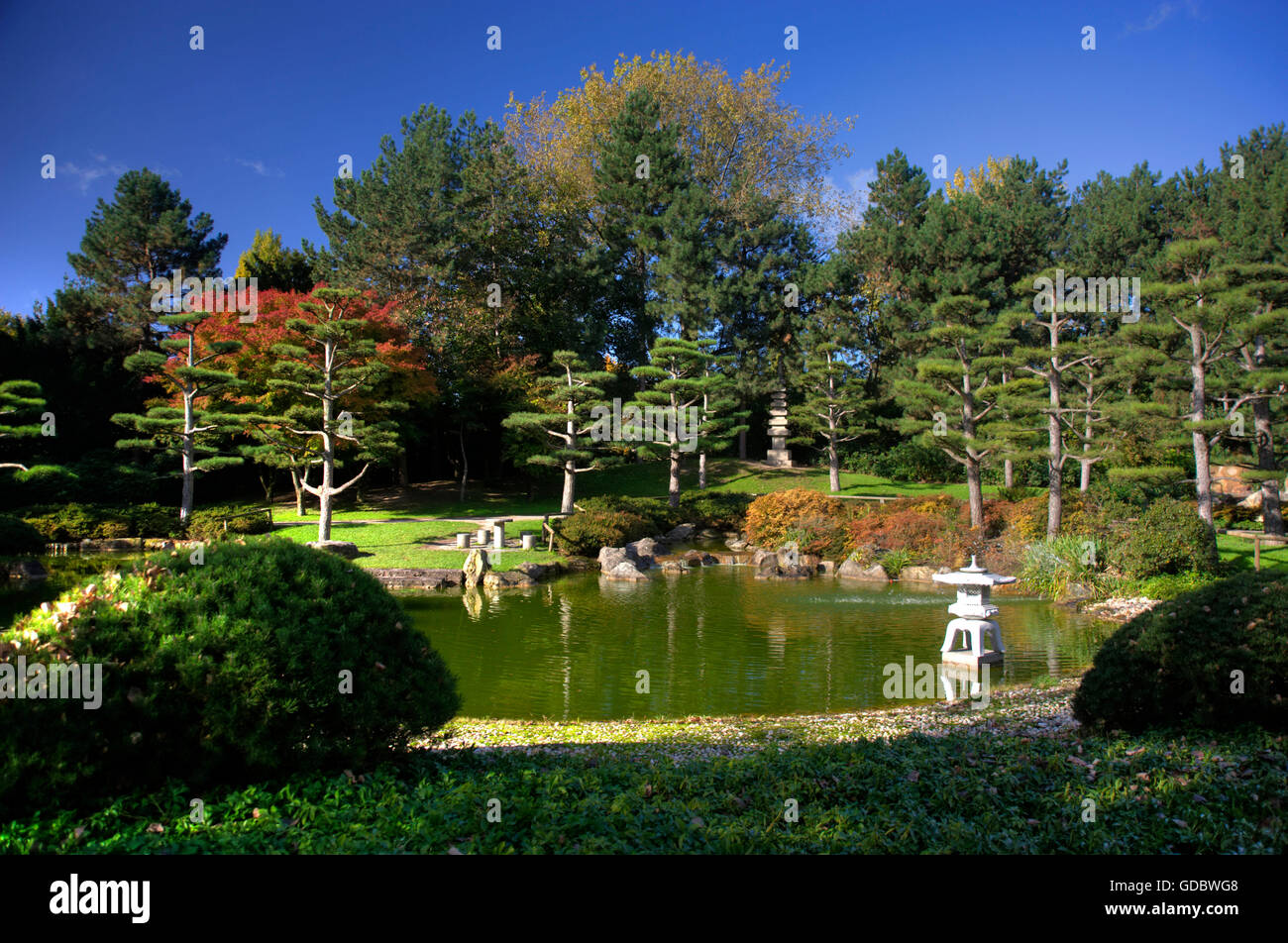 Japanese Garden North Park Dusseldorf North Rhine Westphalia
