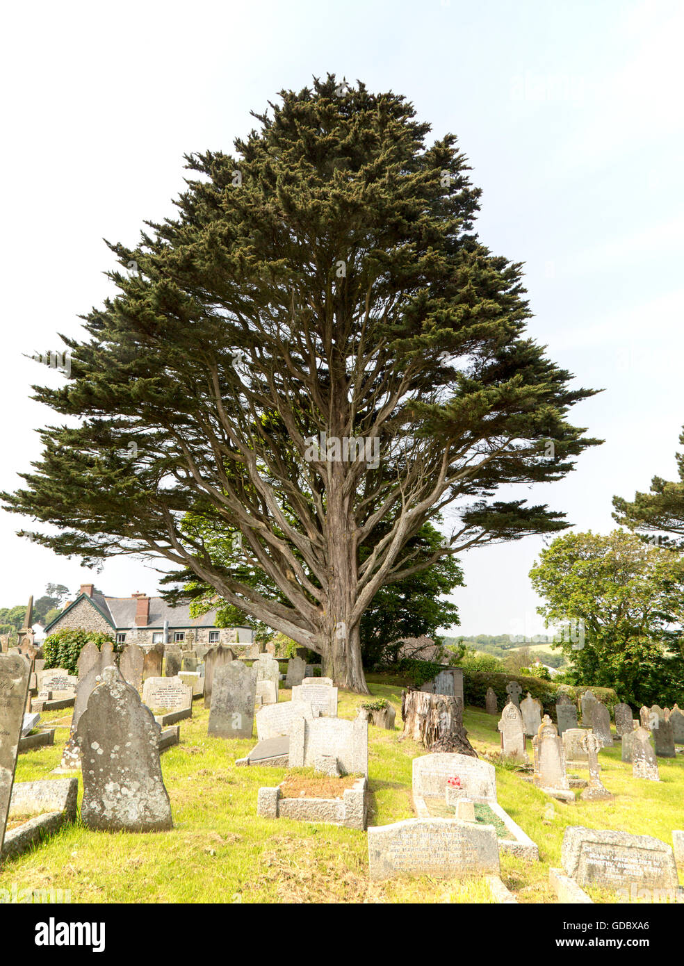 Gravestones in churchyard parish church at St Keverne, Lizard Peninsula, Cornwall, England, UK Stock Photo