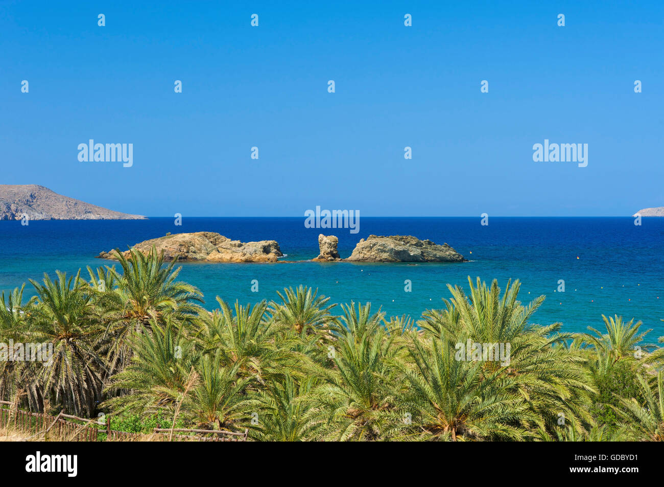 Greece Crete Vai Beach Stock Photograph F0032916