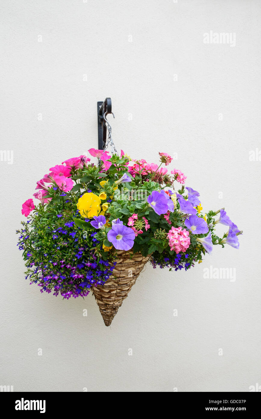 Colourful hanging conical shaped wicker flower basket on a cream coloured wall Stock Photo
