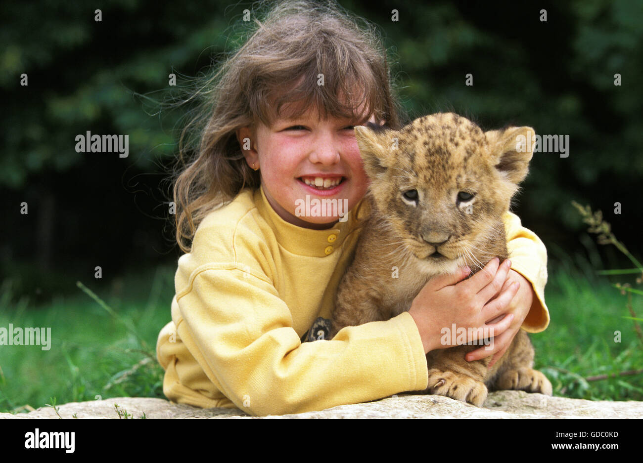 Girl with Cub, African Lion, panthera leo Stock Photo Alamy