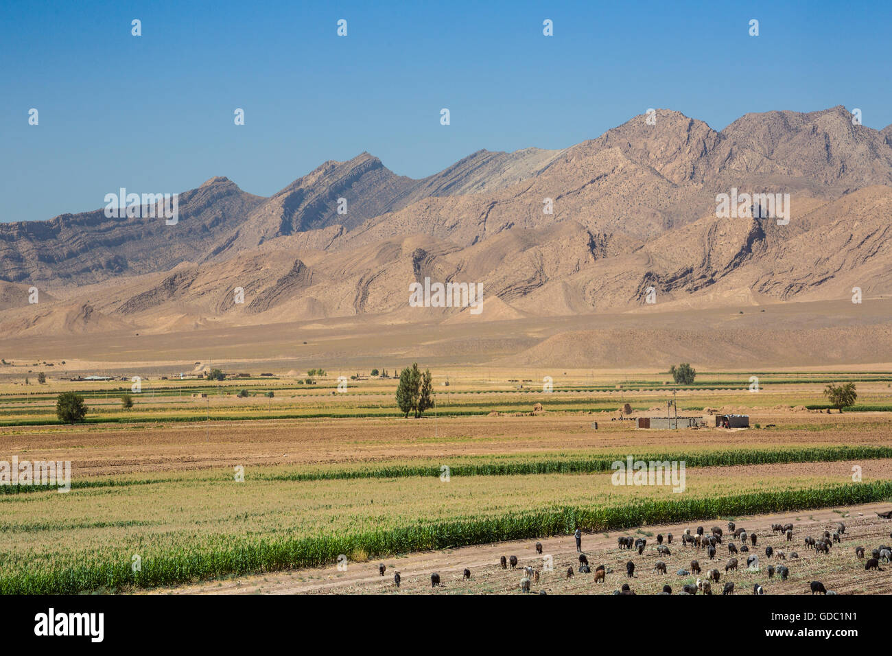 Iran,Landscape near Sarvestan City Stock Photo