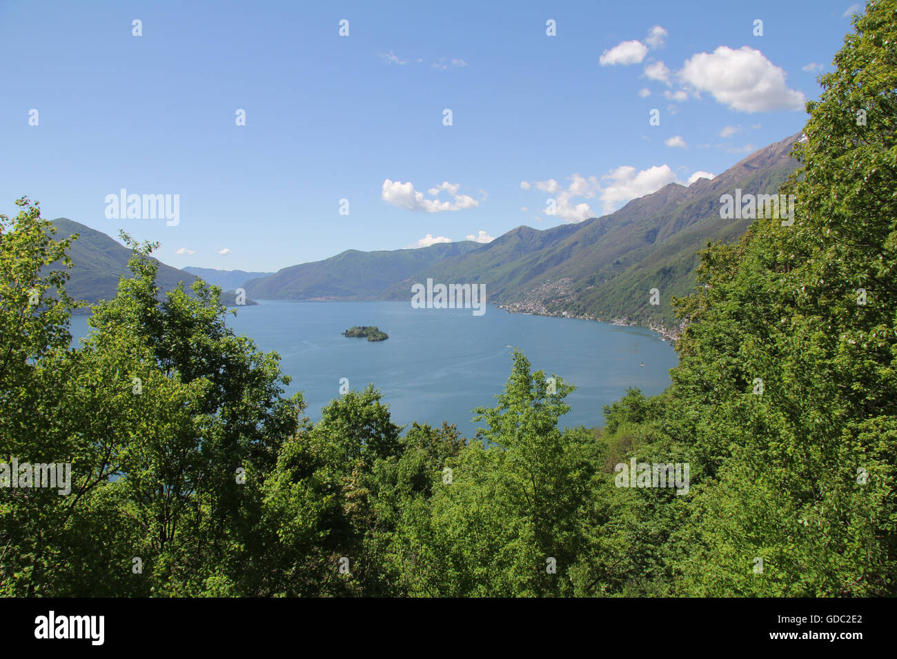 Switzerland,Europe,Ticino,Sopra Ronco,wood,forest,Lago Maggiore,view,Brissago,islands, Stock Photo