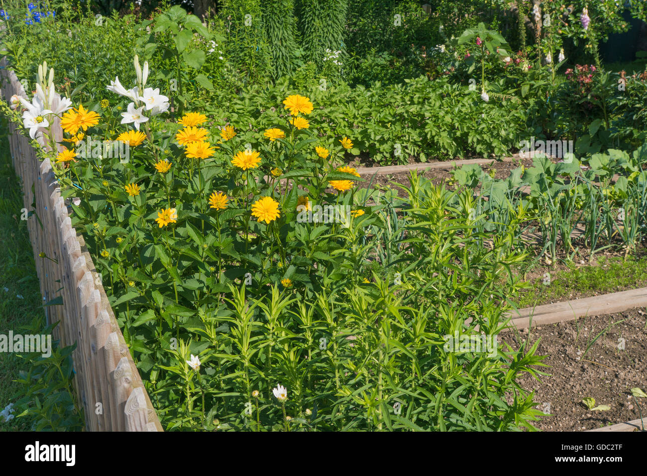 ecological  farm garden Stock Photo