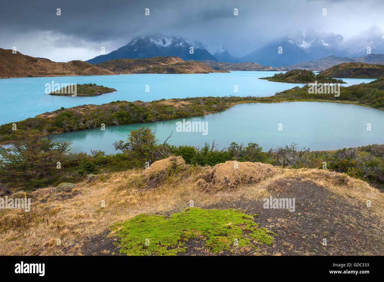Lake Pehoé,Chile,Patagonia Stock Photo