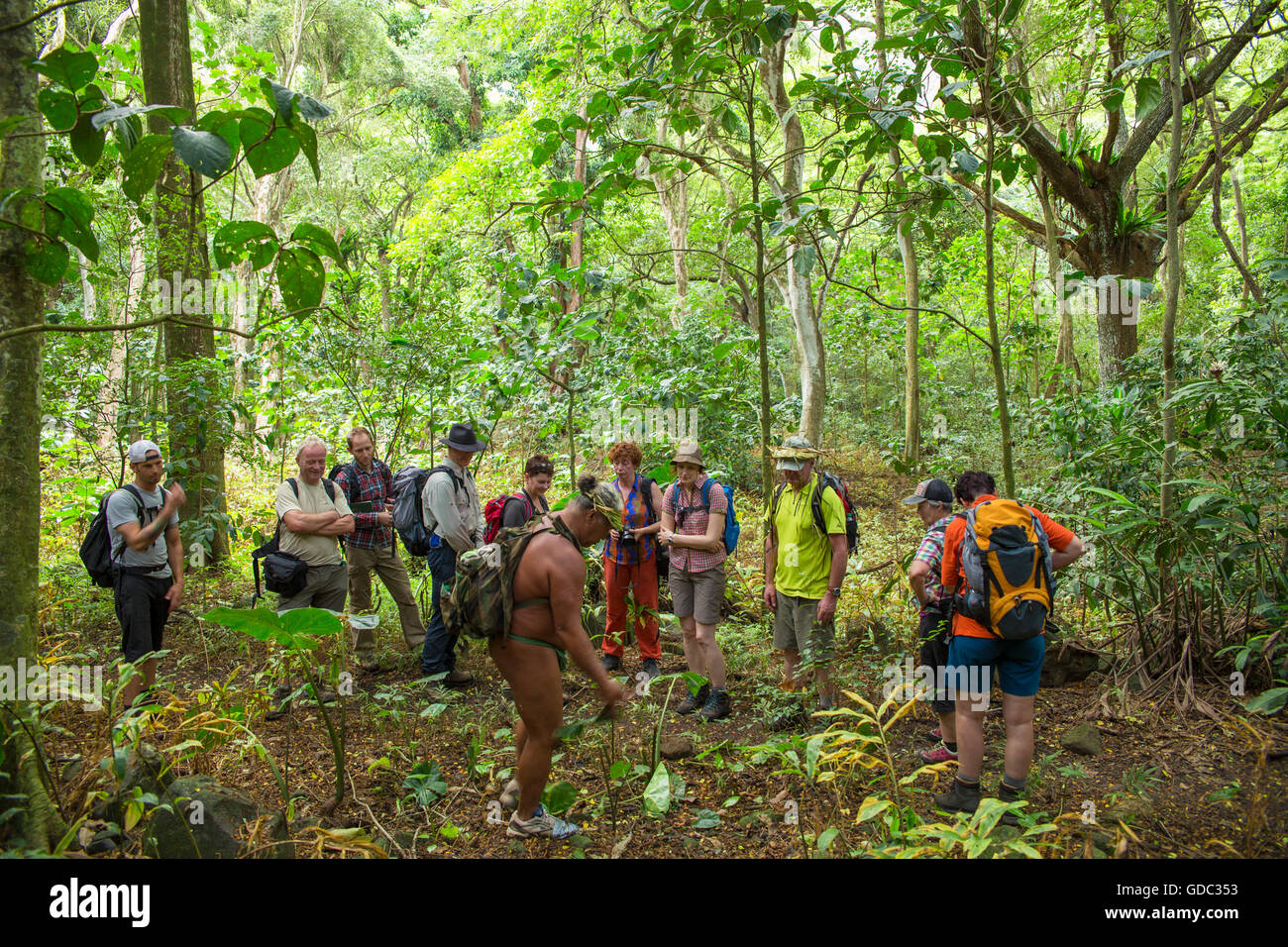 Molokai,local,Polynesian,no model-release,man,guide,visitor,USA,Hawaii,America,rain forest, Stock Photo