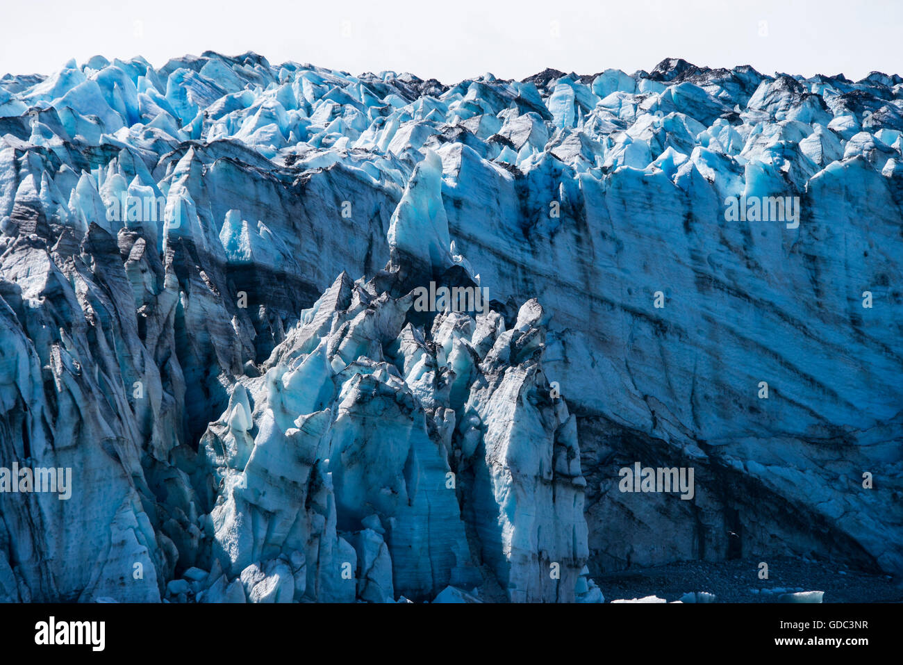 Johns Hopkins glacier,glacier bay,national park,Alaska,USA,glacier,ice