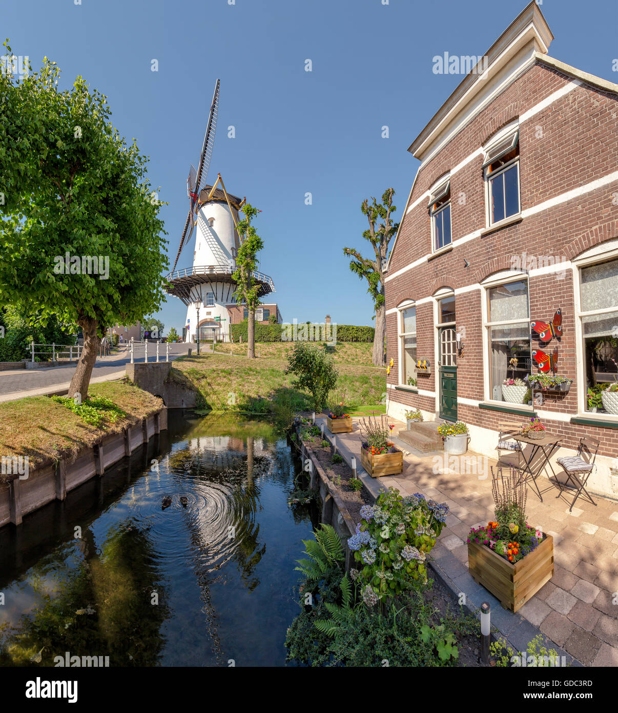 Willemstad,Noord-Brabant,Tower mill called d’Orangemolen Stock Photo