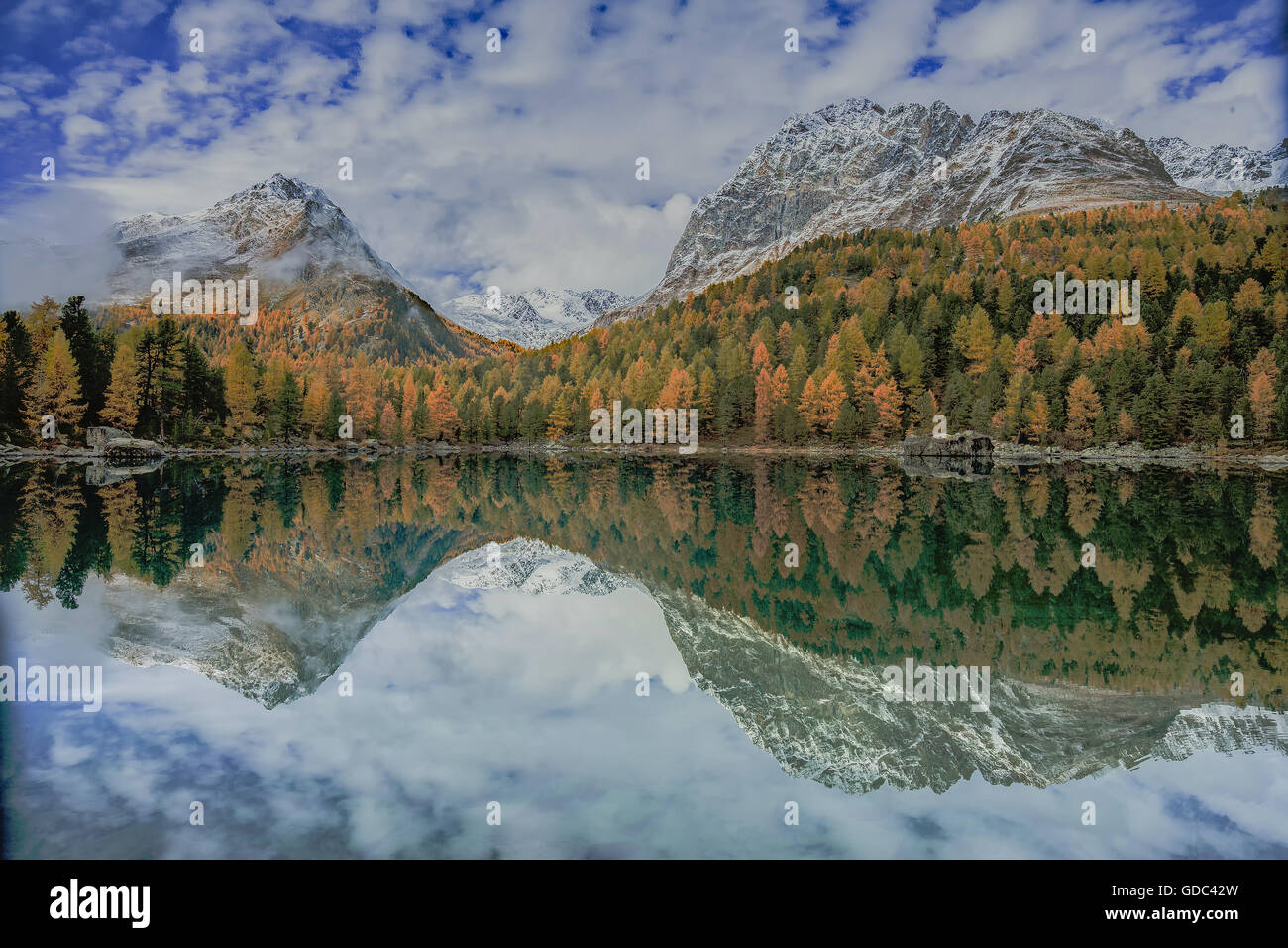 Nature,Landscape,Mountain,Lake,Mountain lake,Autumn,Snow,Saoseosee,Graubünden,Grisons,Switzerland,Alps,Tree,Trees, Stock Photo