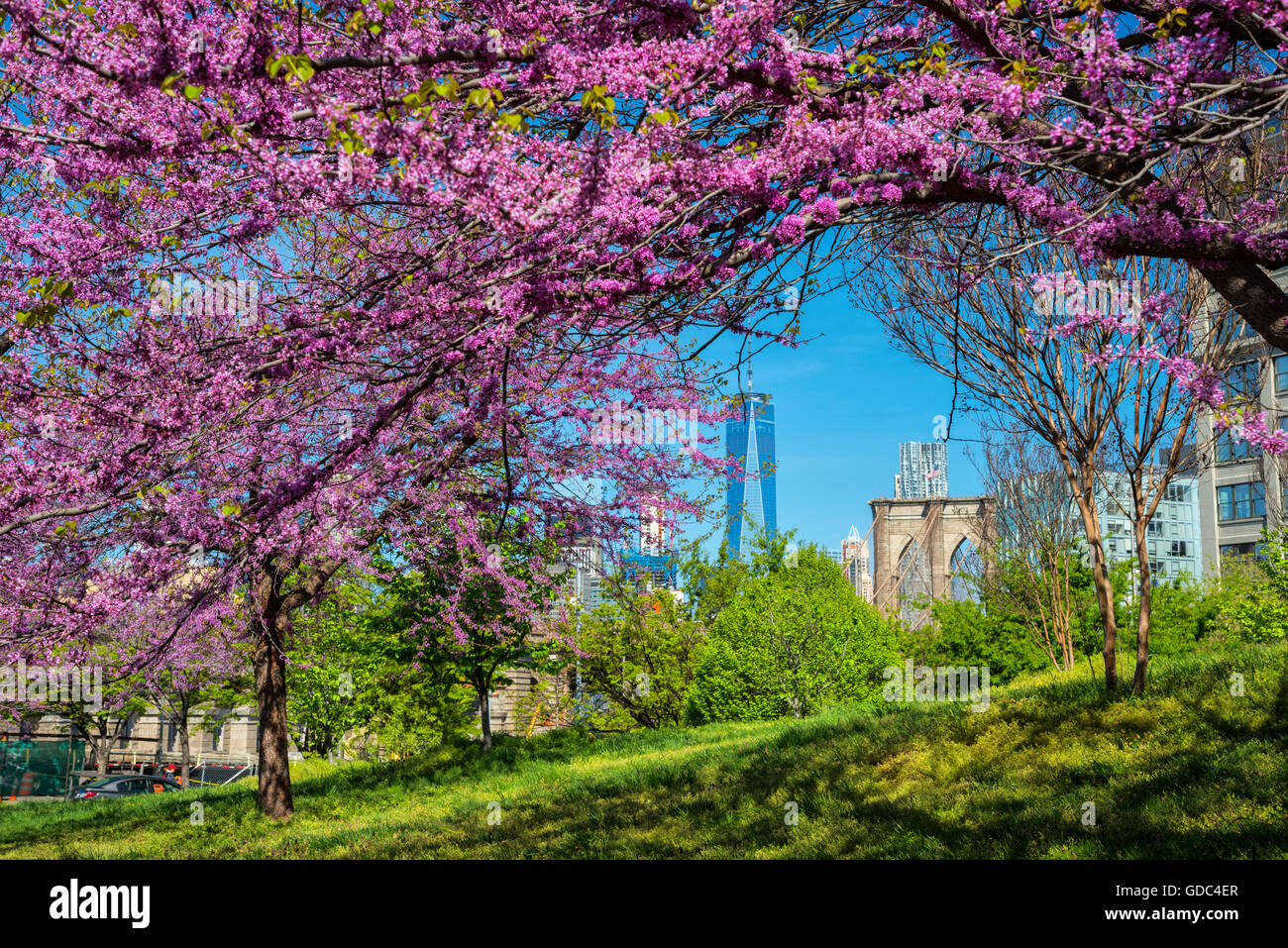 Brooklyn dumbo hi-res stock photography and images - Alamy