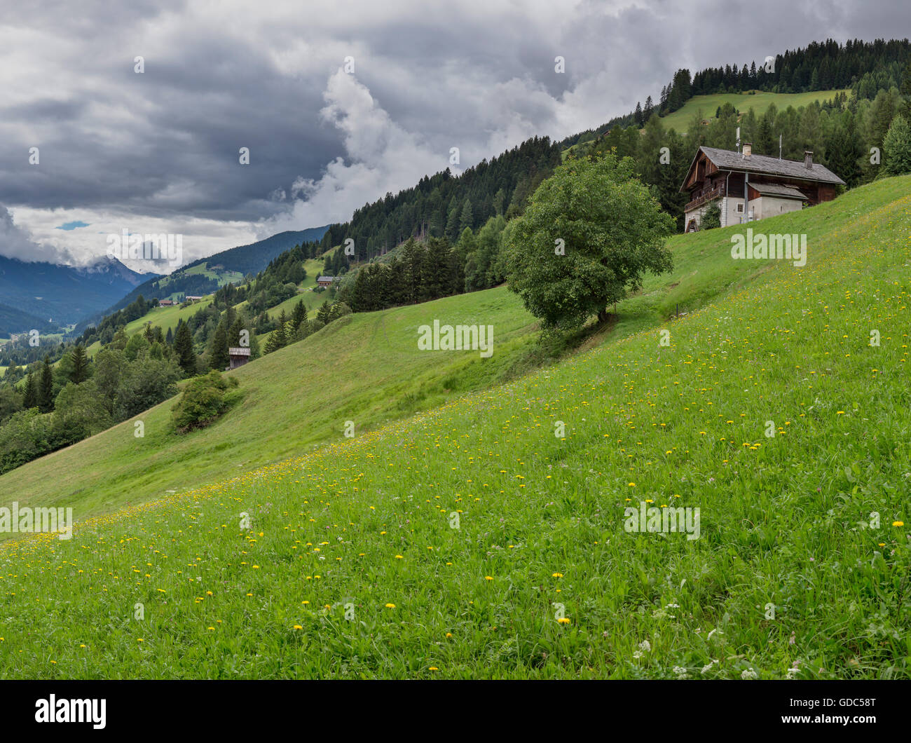 Sillian,Austria,Farmhouses at mountain Sillianberg Stock Photo