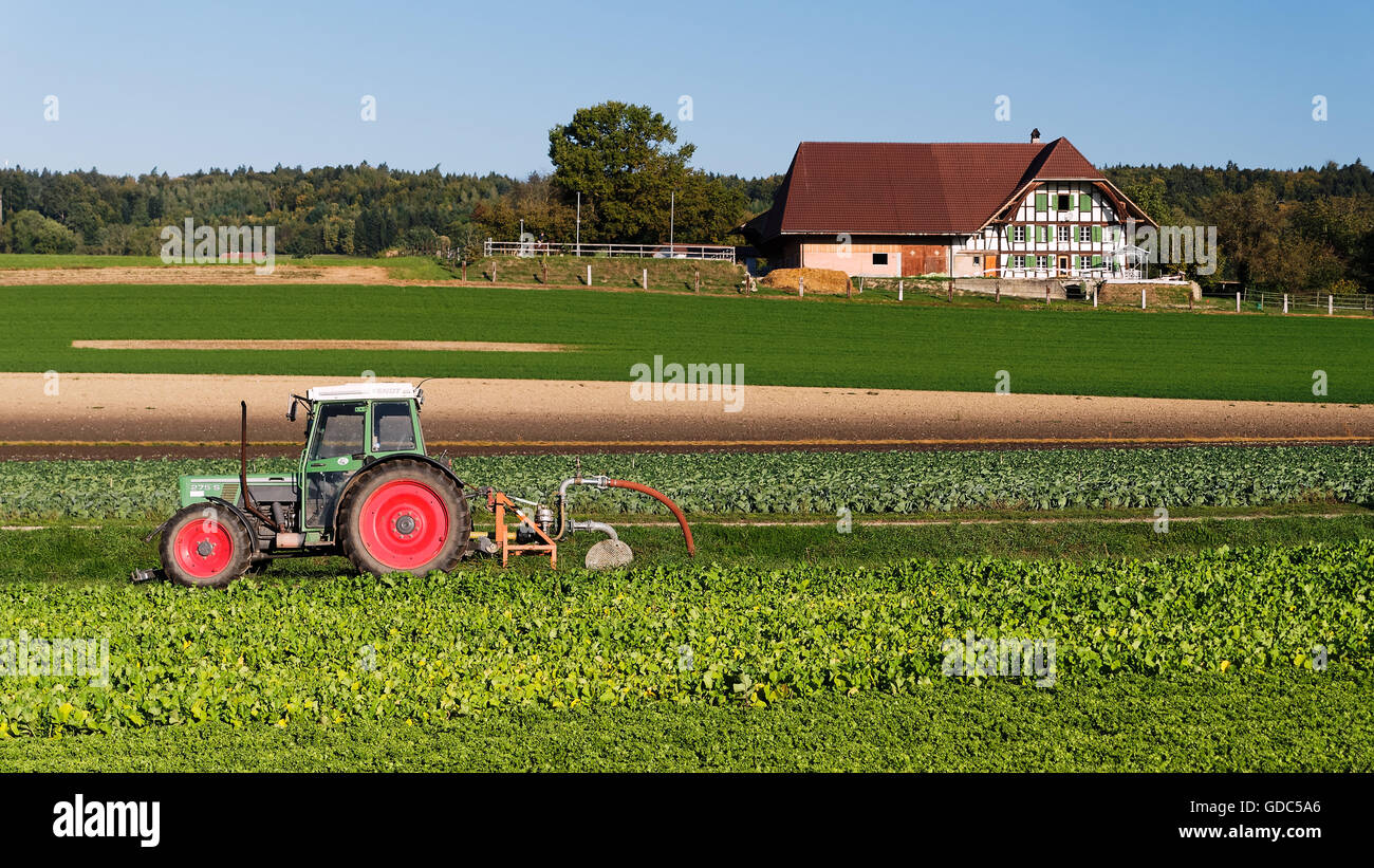 Tractor,field Stock Photo