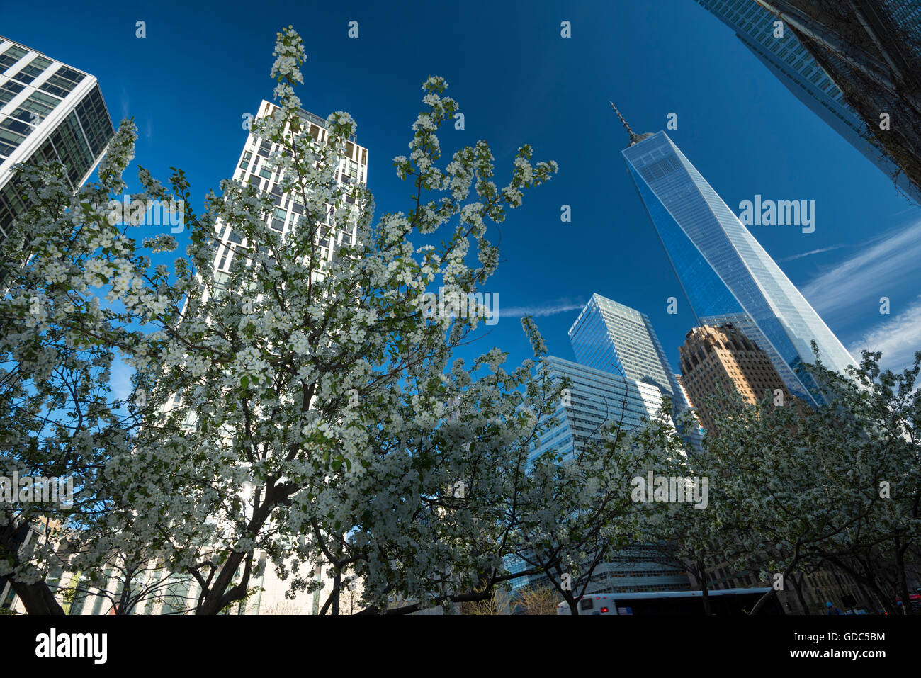 USA,East Coast,New York,Lower Manhattan,One World Trade Center Stock Photo