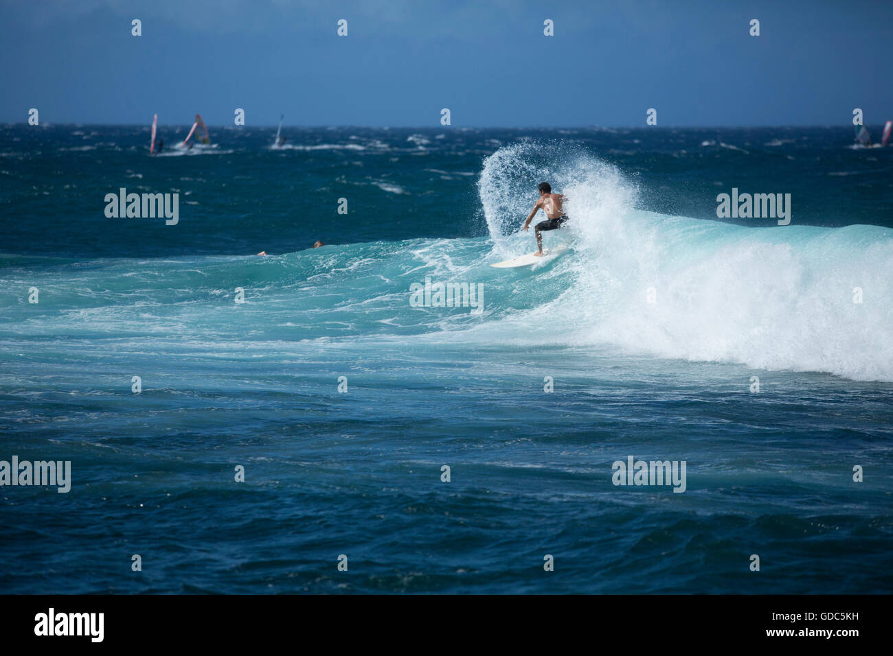 Maui,beach,seashore,Paia,USA,Hawaii,America,bathing,water sport,surf,no model-release, Stock Photo