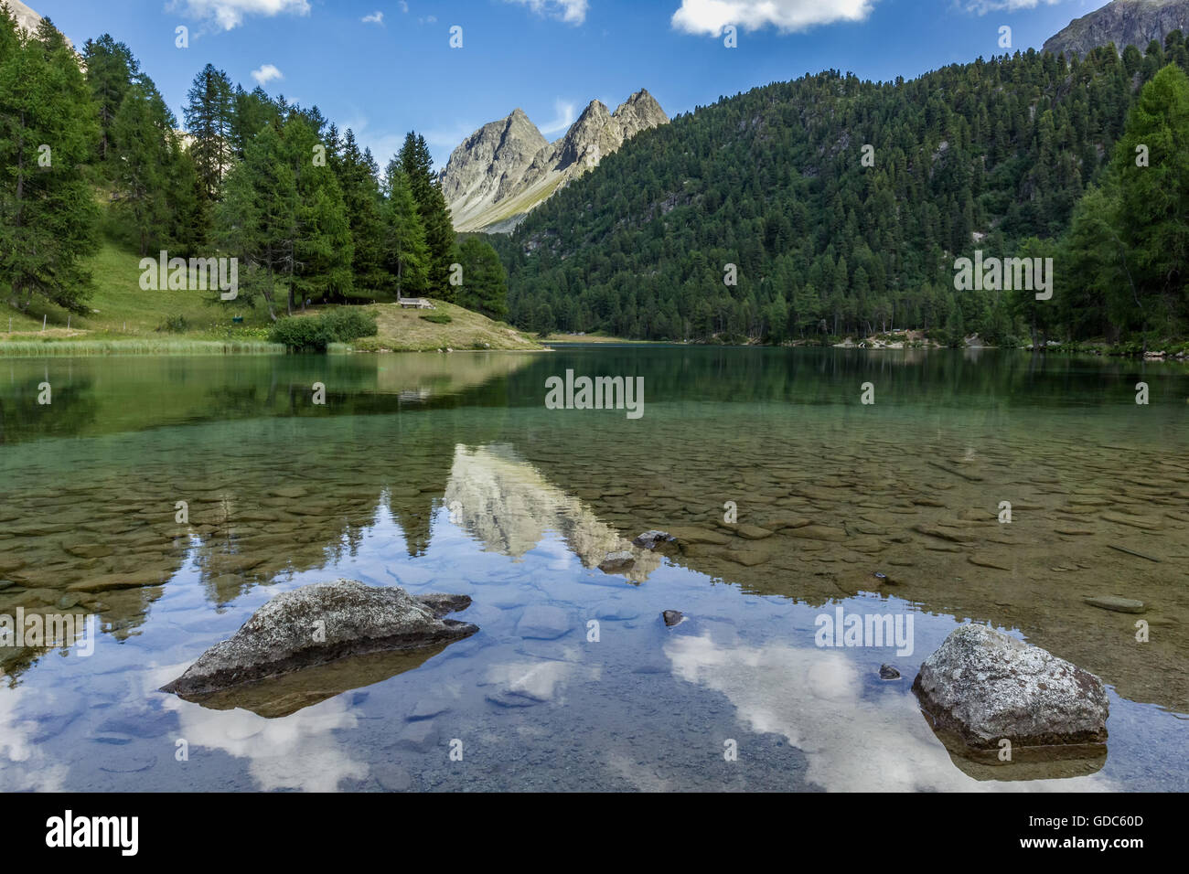 Nature,Landscape,Lake,Mountain lake,Water,Stones,Rocks,Switzerland,Tree,Trees,Summer,Cloud,Palpuognasee,Graubünden, Stock Photo