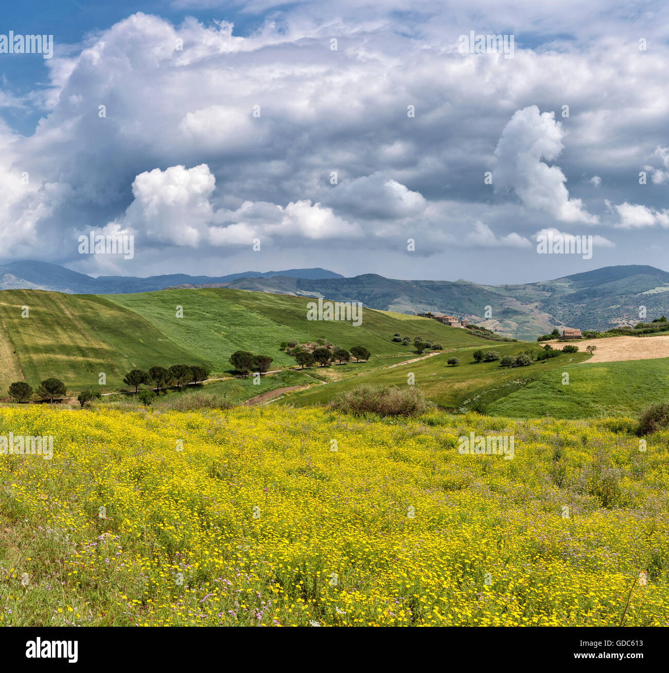 Sicily landscape spring flowers hi-res stock photography and images - Alamy