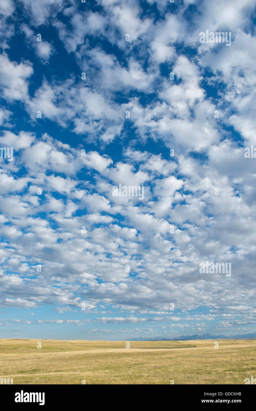 Very big sky hi-res stock photography and images - Alamy