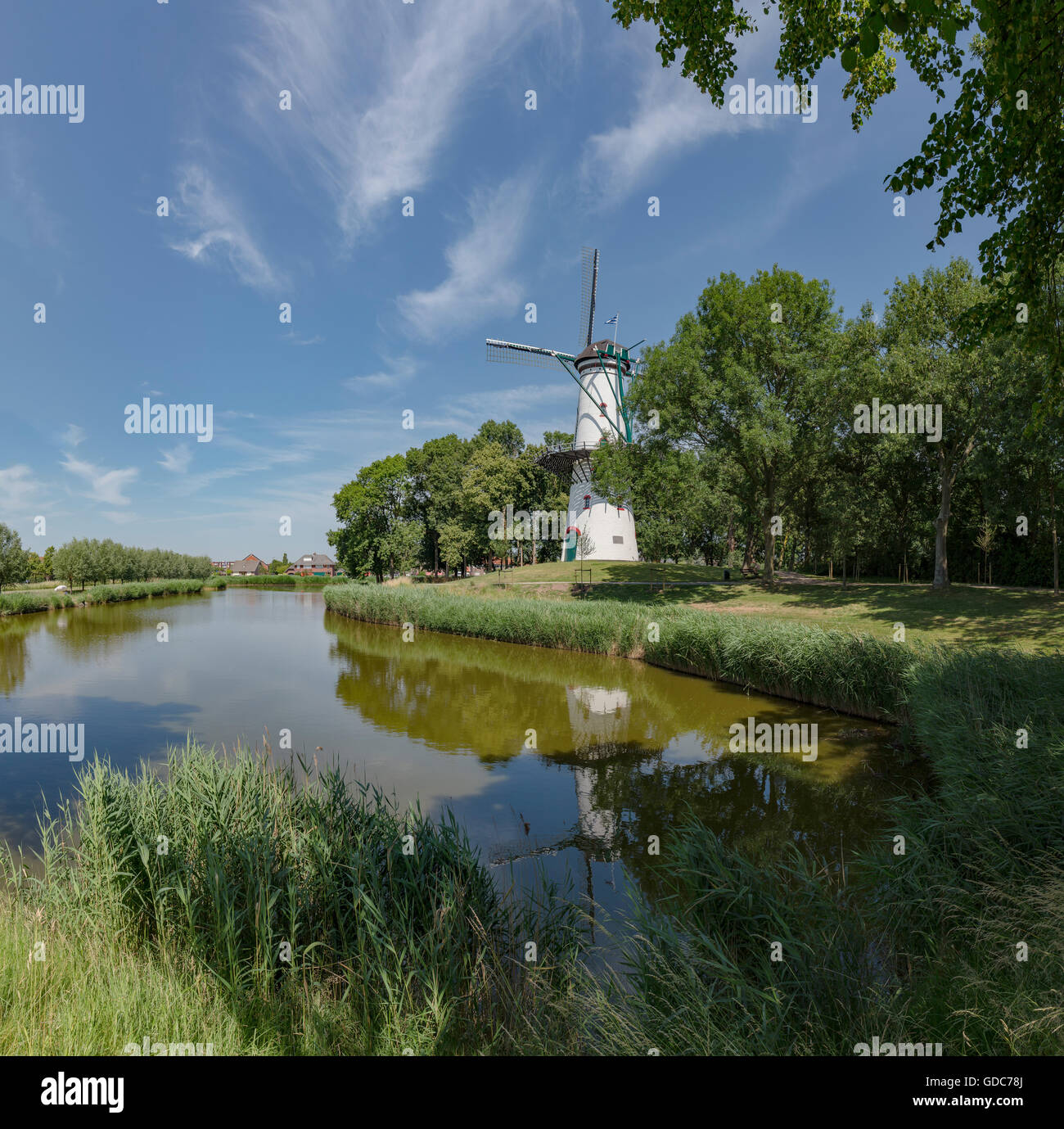 Tholen,Zeeland,White painted tower mill called The Hope Stock Photo