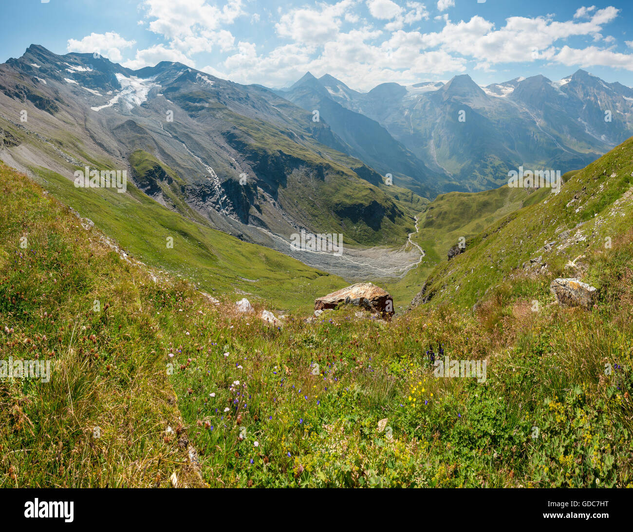 Ferleiten,Austria,Grossglockner High Alpine Road,alpine meadow Stock Photo