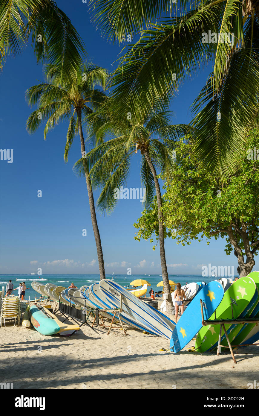 Waikiki beach surf boards hi-res stock photography and images - Alamy