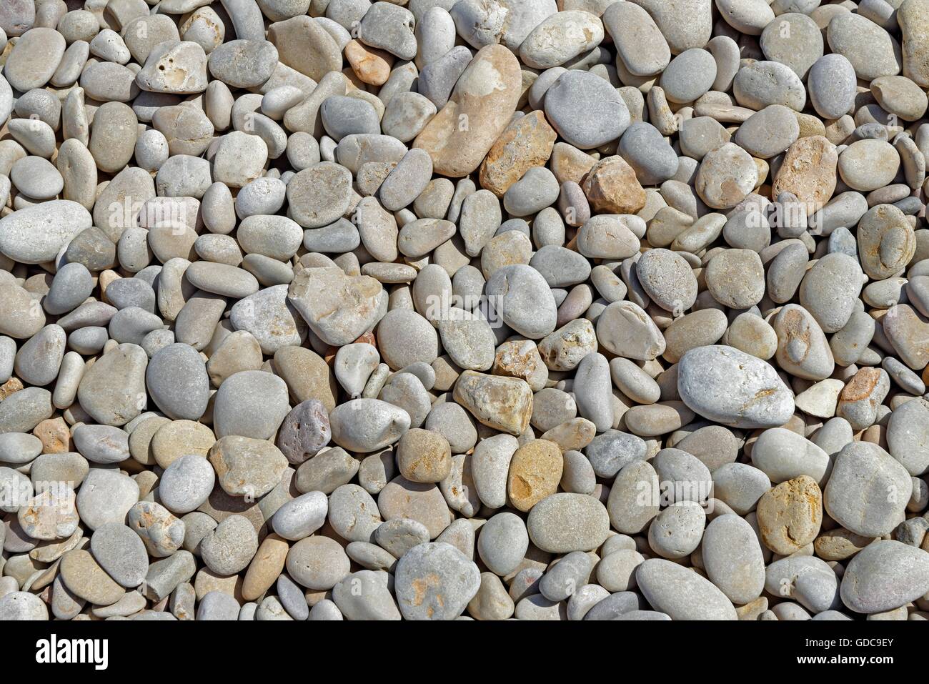 Gravel,beach,seashore, Stock Photo