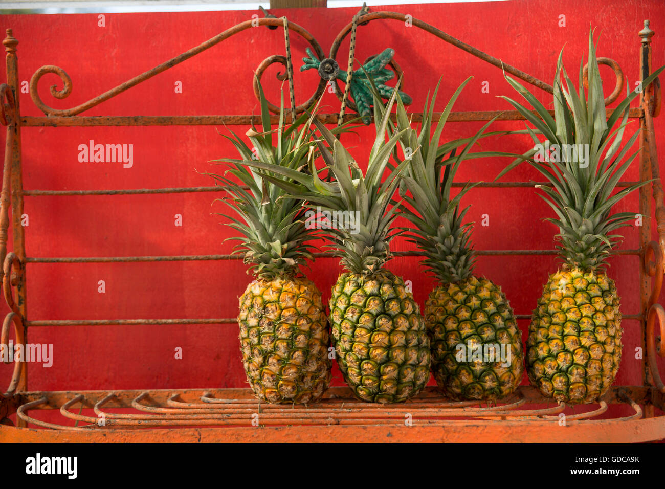 Kauai,fruit stand,Hanalei,Kauai,USA,Hawaii,America,sea,pineapple, Stock Photo