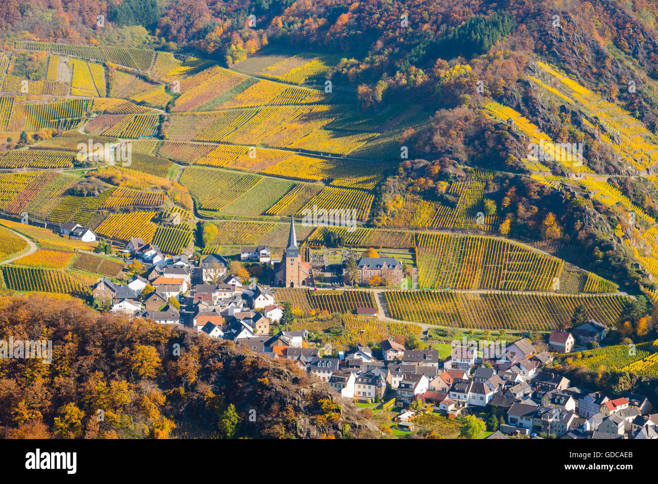 Ahrtal,cultivation,Germany,Eifel,Europe,autumn,autumnal,agriculture,Mayschoss,useful plant,parish church,Saint Nikola Stock Photo