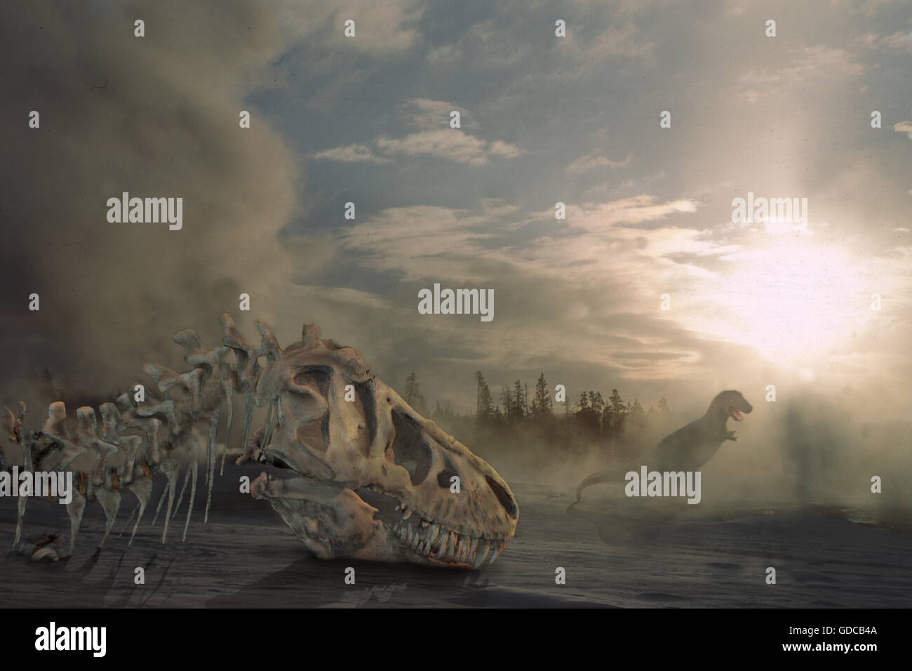 Tyrannosaur, tyrannosaurus rex, Digital Composite Image Stock Photo