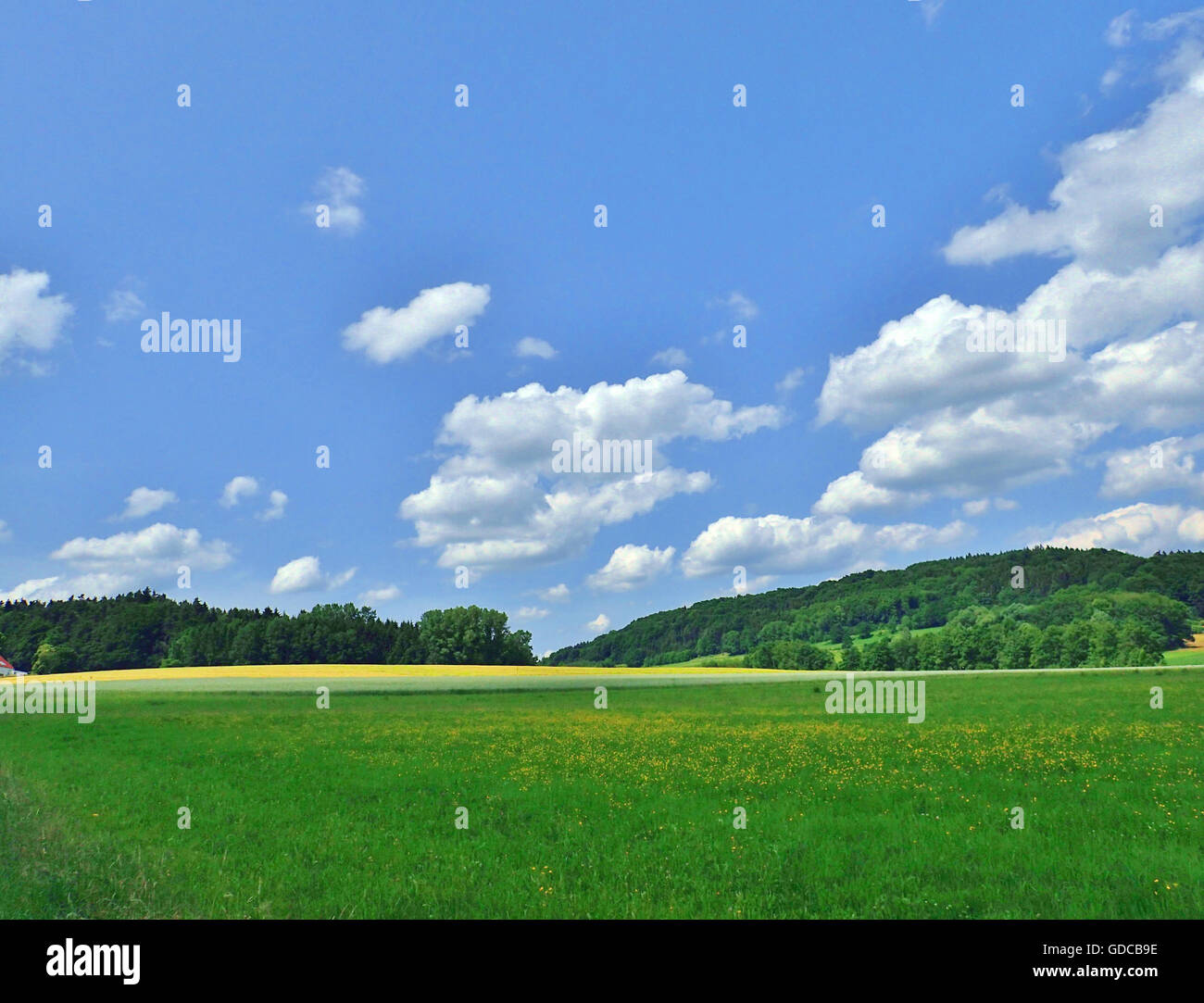 Scenery,clouds,Upper Palatinate,Germany,meadow field Stock Photo