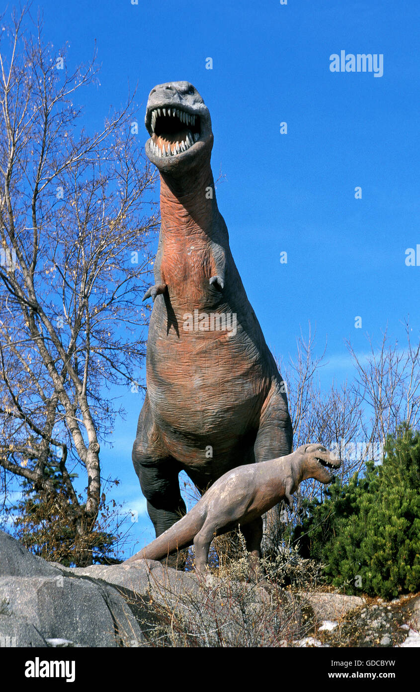 Menacing Tyrannosaurus Rex dinosaur Stock Photo - Alamy