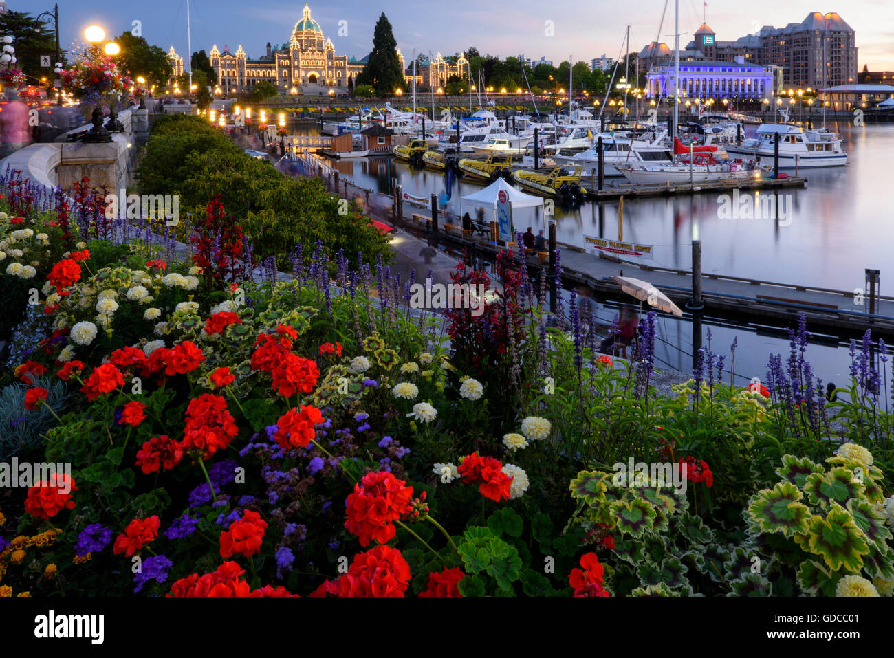 Canada,British Columbia,Vancouver Island,Victoria,parliament,capitol,marina,harbour,bloom,flowers Stock Photo