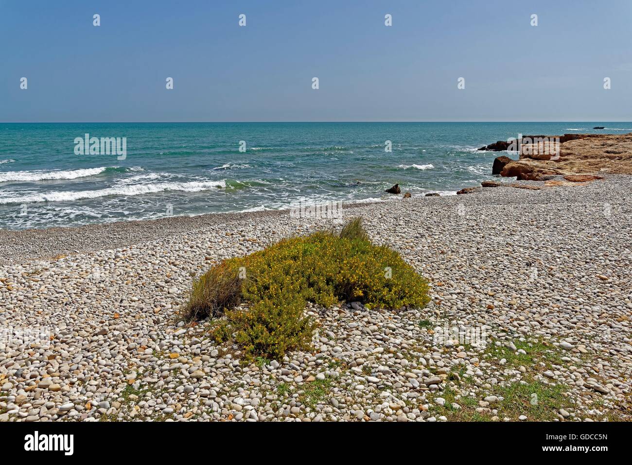 Gravel,beach,seashore, Stock Photo